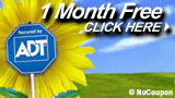 ADT Security