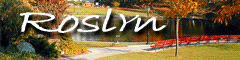 Roslyn