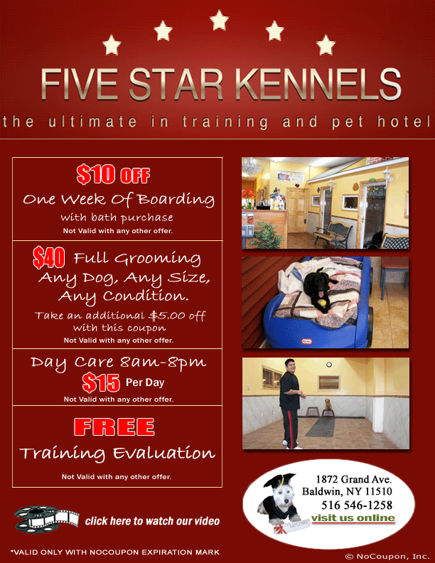 5 star kennels