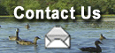 Click Here To Contact Us