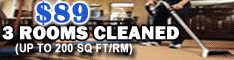 BWise Carpet & Upholstery Cleaning Long Island