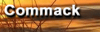 Commack Spotlight