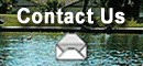 Click Here To Contact Us