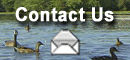 Click Here To Contact Us