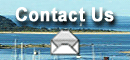 Click Here To Contact Us