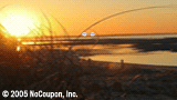 Vision Finders East Rockaway