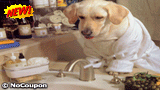 Exotic Paws Grooming Spa & Unique Boutique
