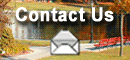 Click Here To Contact Us