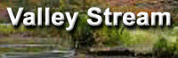 Valley Stream Spotlight