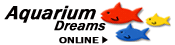 Click Here To Visit Us Online