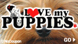 Love My Puppies, Wantagh
